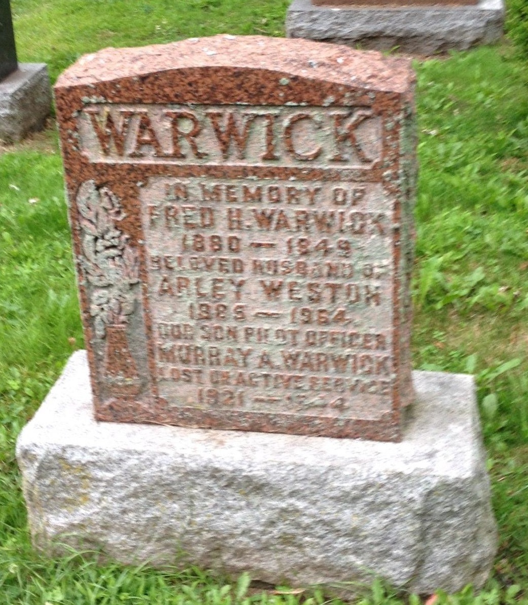 Murray Warwick